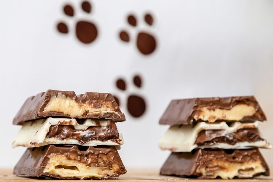 Barres de céréales au chocolat utilisant un Silvercrest Monsieur Cuisine
